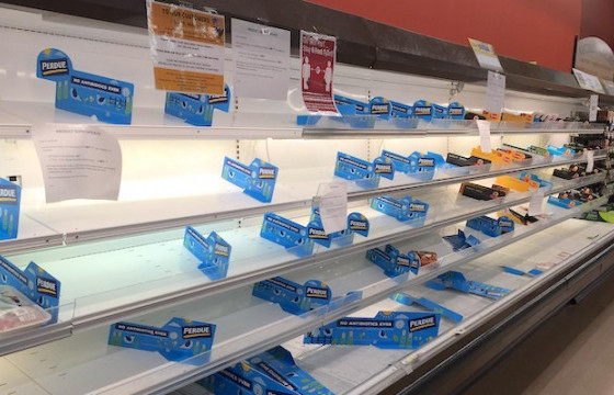 ТАНИЛЦ: Цар тахлын үед хамгийн их борлуулалттай байсан бараа, бүтээгдэхүүнүүд