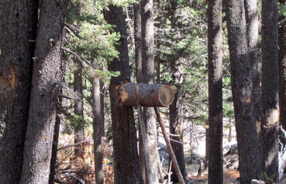 СЭРЭМЖЛҮҮЛЭГ: Мандал сум руу самар түүхээр явсан иргэн уулаас унаж амиа алджээ