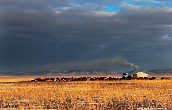 СУЛ ӨВС ГАНХСАН НАМАР