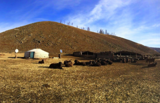 Малчид өвөлжөөндөө малын тэжээл тариалжээ