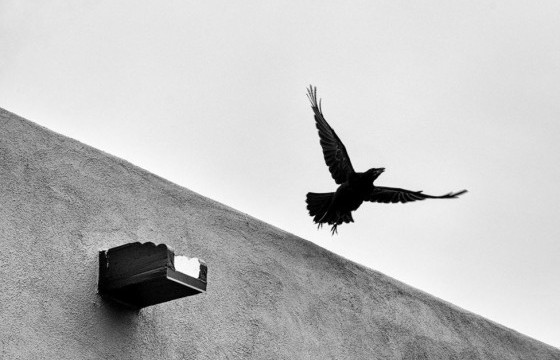 ФОТО: Минимализм гэж юу вэ