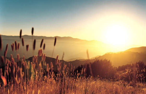 ГЭГЭЭН АЛСАД ОДЪЁ