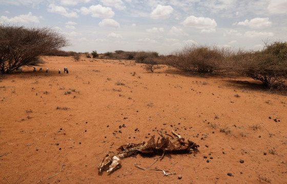 ДЭЛХИЙН БАНК: Зүүн Африкийн уур амьсгалын өөрчлөлтийн улмаас 38.5 сая хүн дүрвэнэ