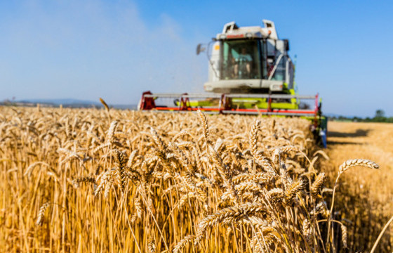 63.8 мянган тонн улаанбуудай хураан авчээ