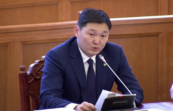 Г.ТЭМҮҮЛЭН: Хөгжлийн яам байгуулахыг зарчмын хүрээнд дэмжиж байна