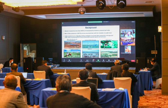 Т.ЖАМБАЛЦЭРЭН: Нийт бэлчээрийн 33 хувь нь байнга нэмэгдэл тэжээл бэлтгэх шаардлага үүсдэг