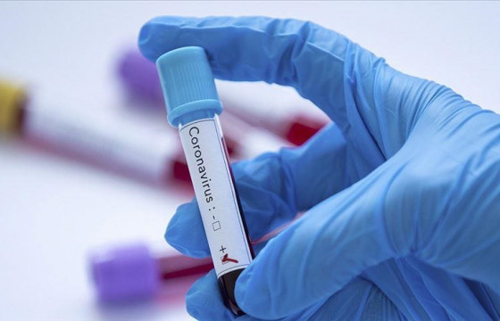 940 хүнээс коронавирусийн халдвар илэрч, есөн иргэн нас баржээ