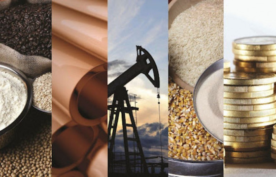 Их гүрнүүдийн нөөцөө нэмэгдүүлэх бодлого жижиг орнуудын эдийн засгийг “залгиж” байна