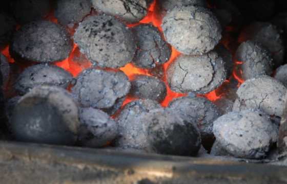 Угаарын хийн эрсдэлд өртөгсдийн 45 хувь нь хүүхдүүд байна