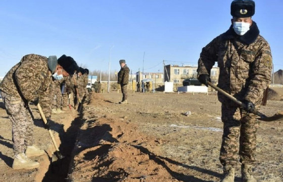 Зэвсэгт хүчний 336 дугаар анги буйлс модны 1000 үр суулгаж, тарьжээ