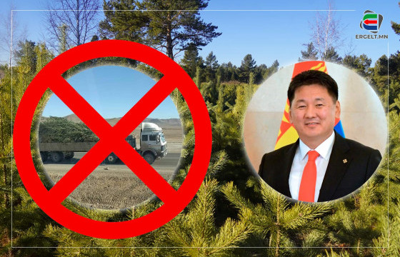 ХЭЛСЭНДЭЭ ХҮРЭЭРЭЙ, ЕРӨНХИЙЛӨГЧ ӨӨ