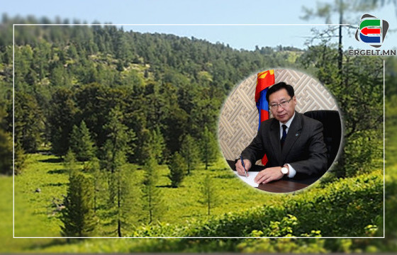 Хотын ерөнхий менежер асан Т.Гантөмөрийг Ойн агентлагийн даргаар томилно гэв үү