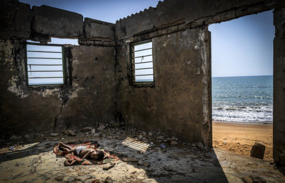 ФОТО: 2021 оны шилдэг байгаль орчны сэдэвт гэрэл зургууд