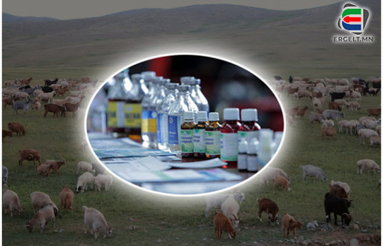 Эм, тарианд “бөмбөгдүүлсэн