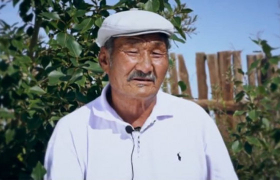 ХӨХМОРТЫН ТӨГӨЛЧ