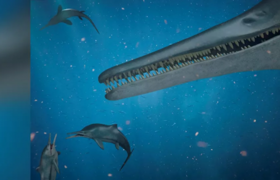 130 сая жилийн настай, хутга шиг шүдтэй ИХТИОЗАВР