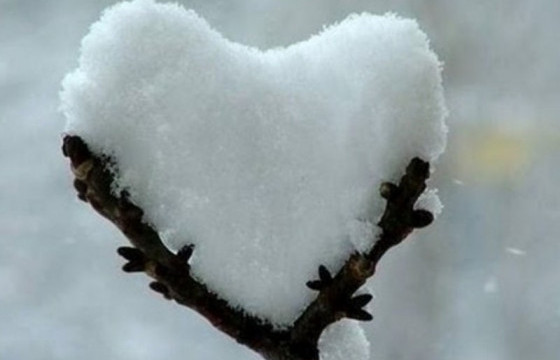 ӨВӨЛ УНШИХАД ТОХИРОМЖТОЙ ТАВАН ШҮЛЭГ