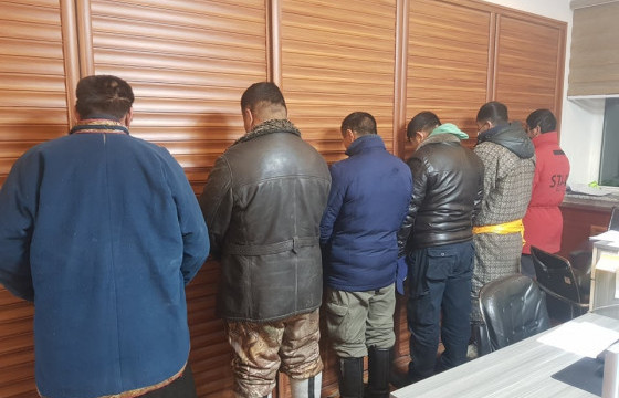 48 тооны бод мал бүлэглэн хулгайлсан этгээдүүдийг илрүүлжээ