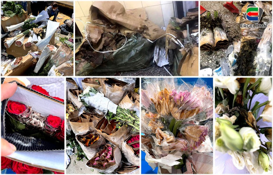 ЦЭЦГИЙН ХУДАЛДААЧИН: 30 гаруй сая төгрөгийн цэцэг минь хил дээр хаягдаж, хог боллоо