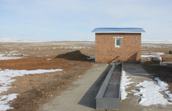 Дөрвөн настай хүүхэд гүнийн худагт унаж, амиа алджээ