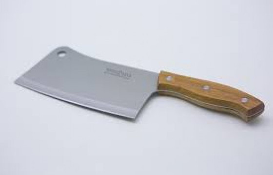 Шүүгдэгч О: Хөршийнхөө залууг айлгах санаатай заазуур шидтэл оночихсон