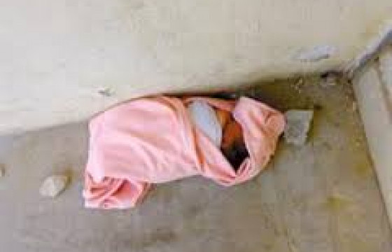 ТӨРҮҮЛСЭН ҮРЭЭ ХАЯВАЛ ЯЛТАН БОЛНО ШҮҮ, ЭЭЖ НАР АА !