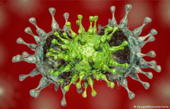 218 хүнээс коронавирусийн халдвар илэрч, нэг иргэн нас баржээ