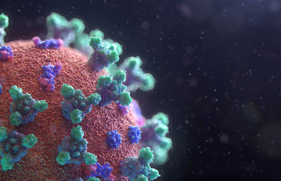 Засгийн газраас Омикрон хувилбарт 5.6 тэрбум төгрөгийг гаргахаар болжээ