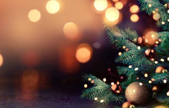 Дэлхийн алдартнуудын ШИНЭ ЖИЛИЙН тухай ДУРСАМЖ