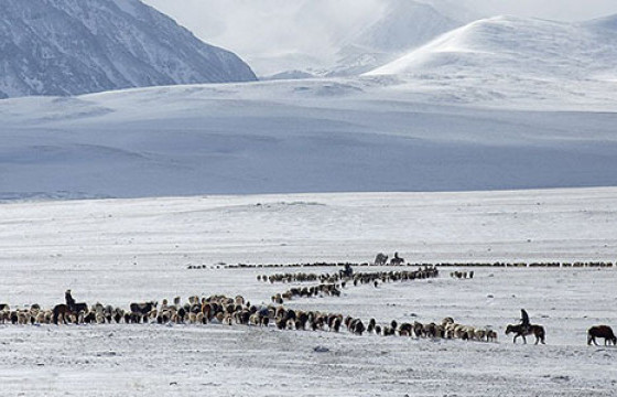Баянхонгор аймагт 3.6 магнитудын газар хөдөлжээ