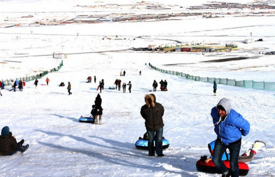  Өнгөрсөн онд 1578 хүн чарганаас унаж гэмтжээ