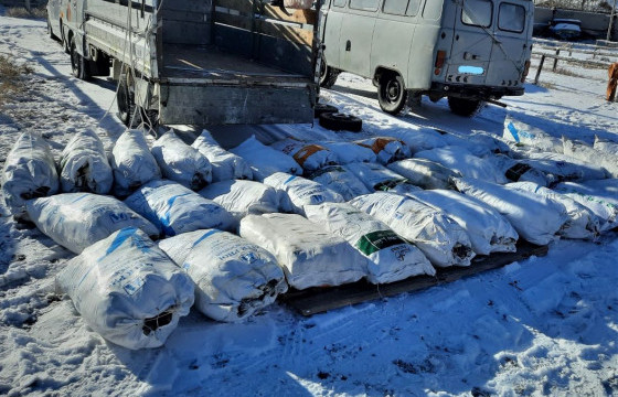 Улаагчны хар нуураас хууль бусаар загас барьсан этгээдүүдийг шалгаж байна