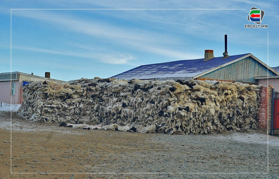 ФОТО СУРВАЛЖИЛГА: 