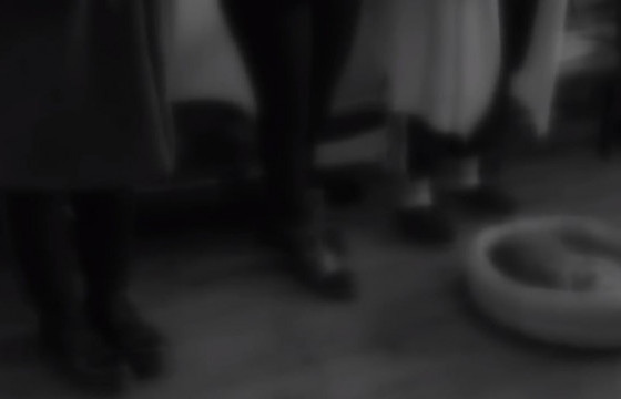 Насанд хүрээгүй охидыг хүчээр биеийг нь үнэлүүлж байсан бүлэг этгээдийг баривчилжээ