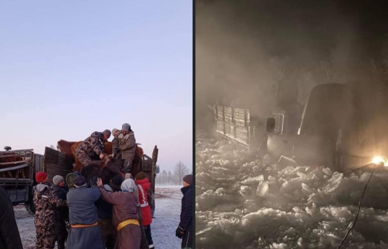    М.ОЮУМАА: Голын халиа намдаагүй, 23 айл малтайгаа нүүсэн