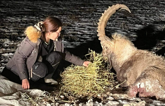 Э.НАРАНЦОГТ: Шархадсан янгир биднийг очиход үхсэн байсан