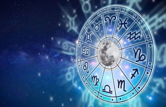 ЗУРХАЙ: Нохой, хонь жилтнээ аливаа үйлийг хийхэд эерэг сайн