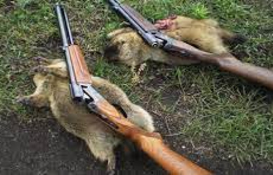 Тарваганд явсан эрэгтэйчүүд сум алдаж, нэгнийгээ бууджээ