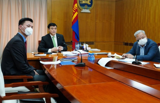 Төрийн байгууллагын 0-5 настай хүүхэдтэй эцэг, эхчүүдийг цахимаар ажиллуулахыг даалгалаа