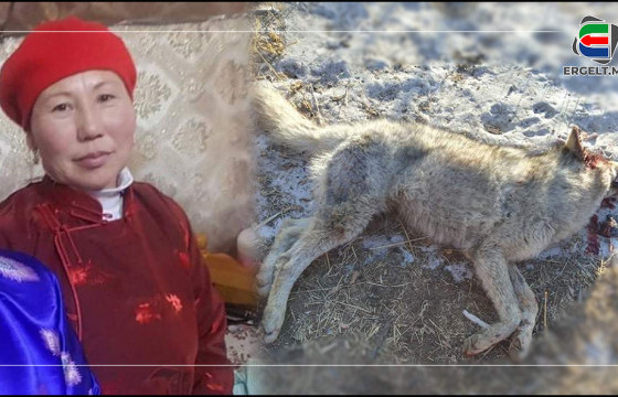 М.ТУЯА: “ДҮҮГЭЭ АРААТНЫ ХООЛ БОЛГОЧИХЛОО” ГЭЖ АЙХДАА БУУГААРАА ЧОНЫН ТОЛГОЙГ ЦОХИЖ ӨГСӨН