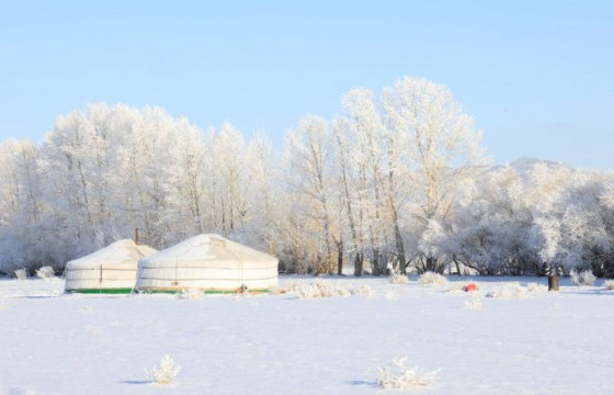 Гэрээсээ гараад сураггүй болсон хүүхдийг эсэн мэнд олжээ