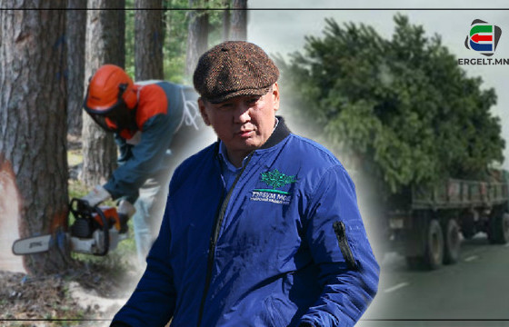 ОЙН АНГИЙНХАН МОДНЫ ХУЛГАЙЧИДТАЙ ХАЛААС НЭГТГЭЖ, УУЛЫН МОДЫГ ЗӨӨЖ БАЙГААГ ЗОГСОО, ЕРӨНХИЙЛӨГЧ ӨӨ-II