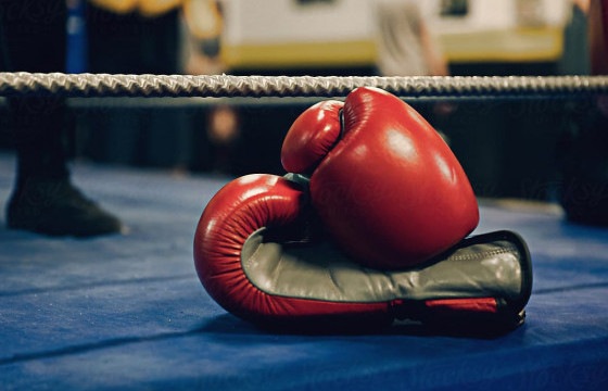 Азийн аварга шалгаруулах тэмцээнээс Монголын боксчид 12 медаль хүртлээ