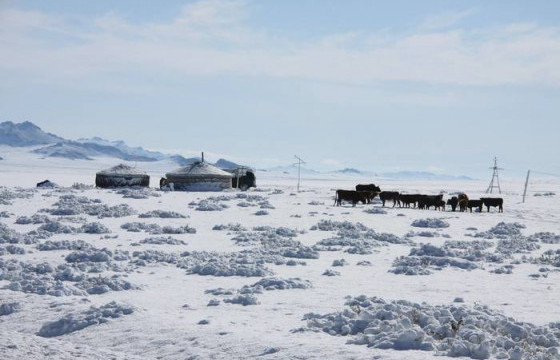 Сураггүй алга болсон автомашинтай хоёр иргэнийг эсэн мэнд олжээ