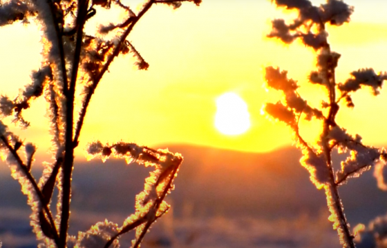ЭРГЭЛТИЙН ДУРАН: Хаврын сар айлчилсан хөдөөгийн үзэсгэлэн