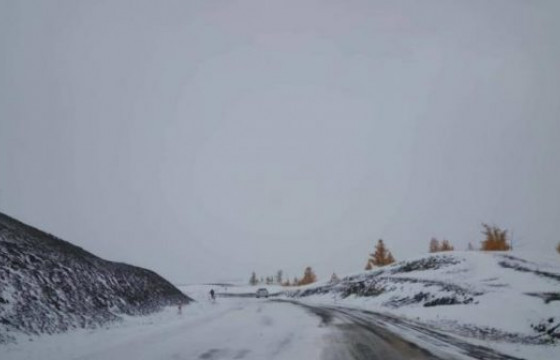 Сураггүй алга болсон иргэнийг эсэн мэнд олжээ