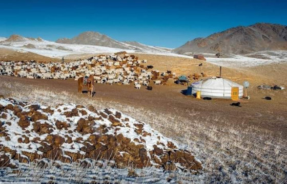 Хаданд хашигдаж, буух боломжгүй байсан малчныг 18 бог малын хамт буулгажээ