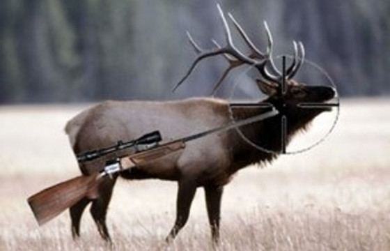 БУУДУУЛСАН 13 БУГЫН ЭД ЭРХТНИЙ ЭРЭЛД БУЮУ ХУУЛЬ БУС НАЙМААНЫ МӨРӨӨР-II