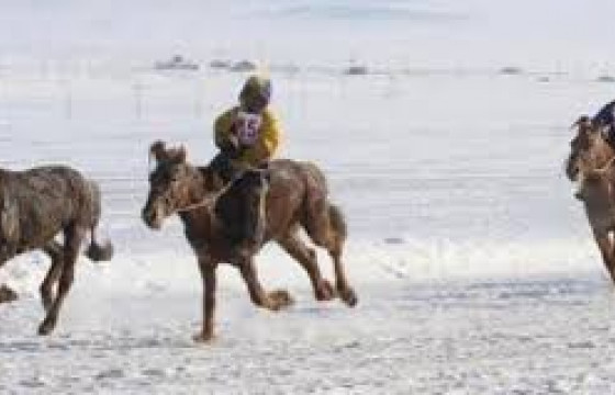 Хурдан морины үсэргээний үеэр 13 настай хүүхэд унаж бэртжээ