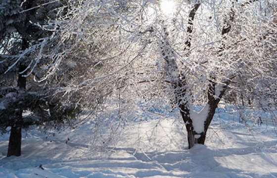 ЦАГ АГААР: Ойрын хоногуудад ихэнх нутгаар хүйтний эрч чангарна